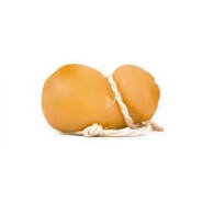 scamorza